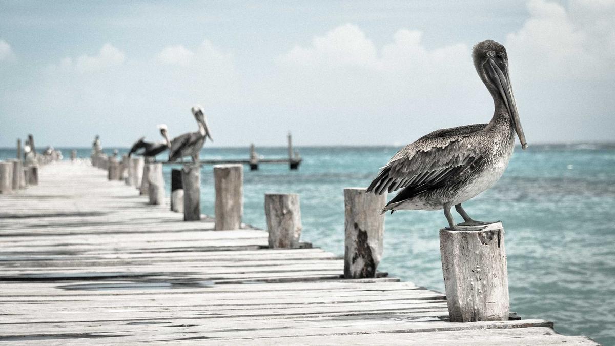 How to Break Out of a Reading Slump for Good